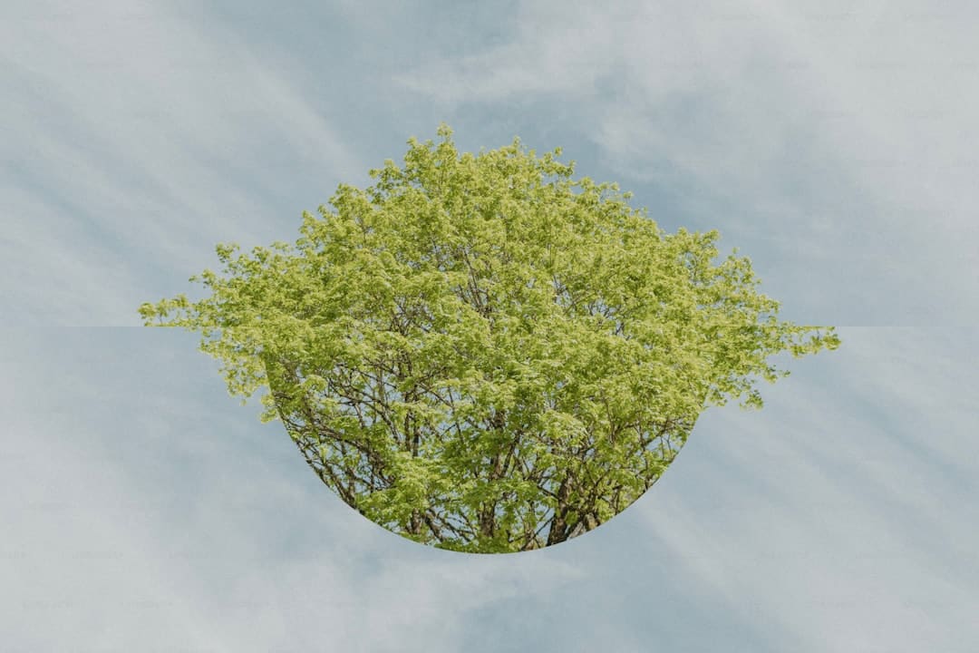 漳浦开渔 千帆竞发赴蓝海
